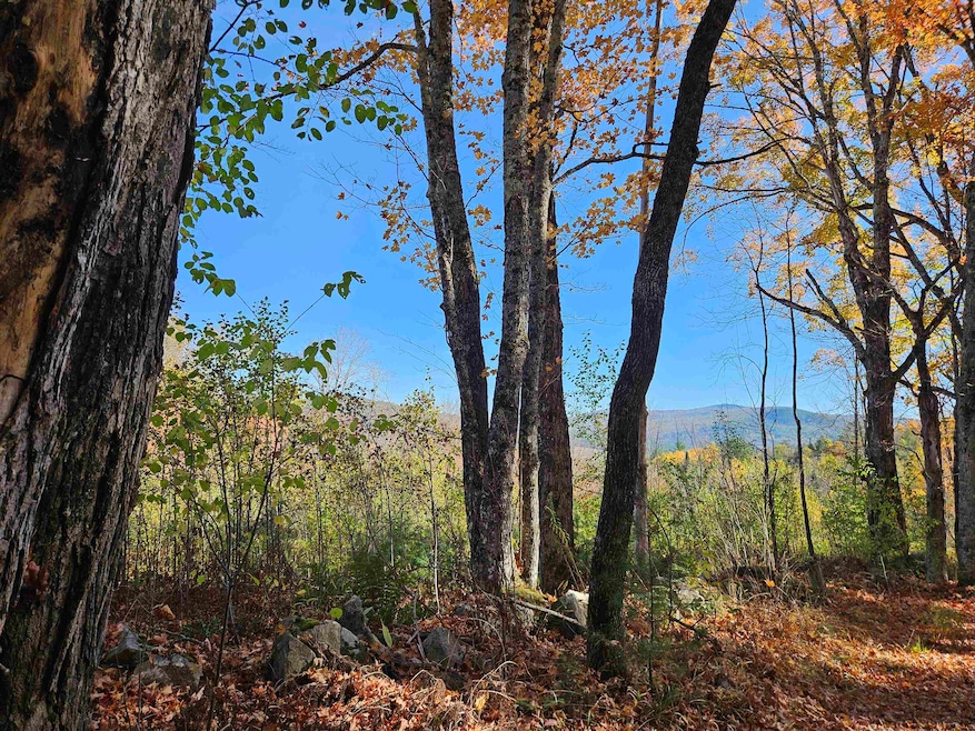 324 Crane Hill Rd, Sugar Hill, NH 03586 - photo 1