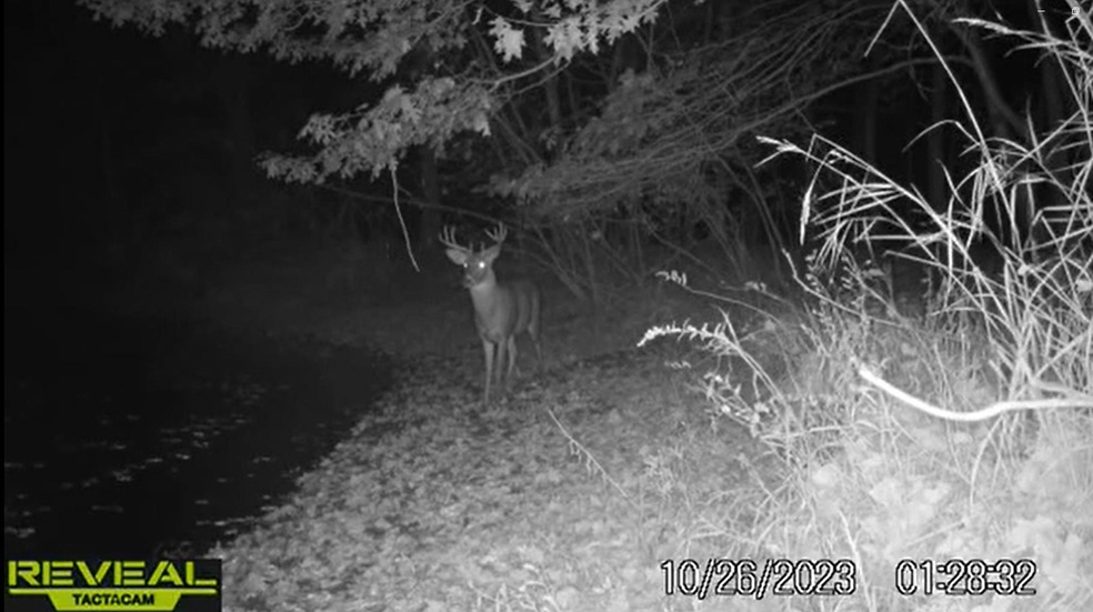 Sold $210,000 • Co-Listing Agent