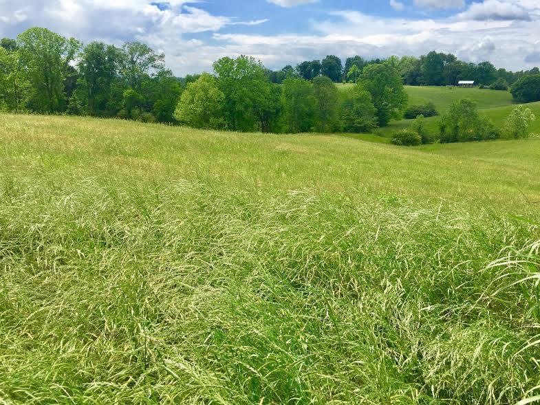 Lot 55 Main