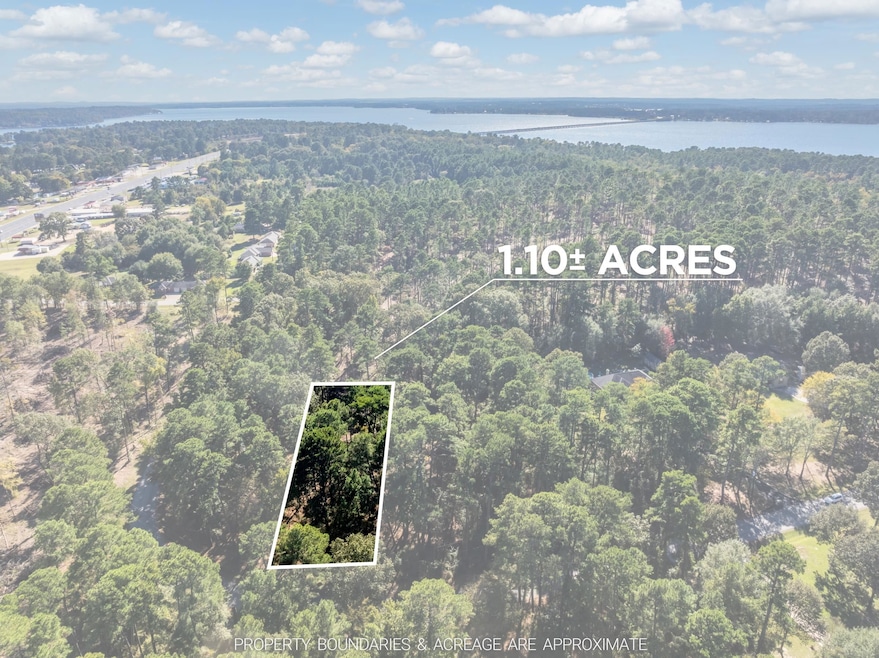 0 Pintail Lot 7, Flint, TX 75762 - photo 1