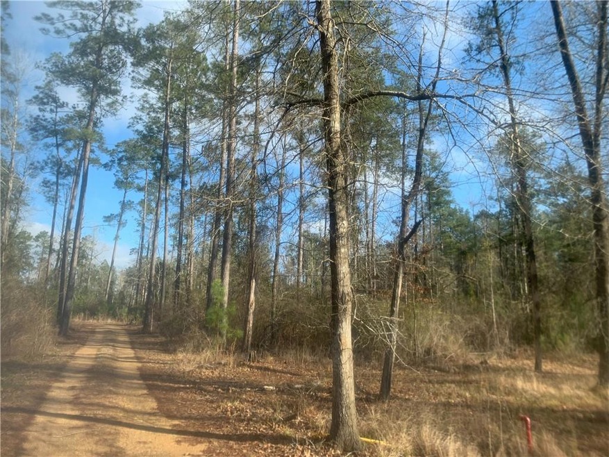 0 Daisy Ranch Rd, Pineville, LA 71360 - photo 1