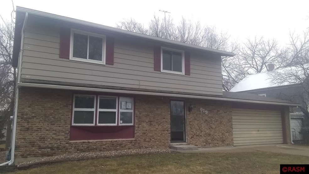 919 E Hawthorne St, Albert Lea, MN 56007 - photo 1