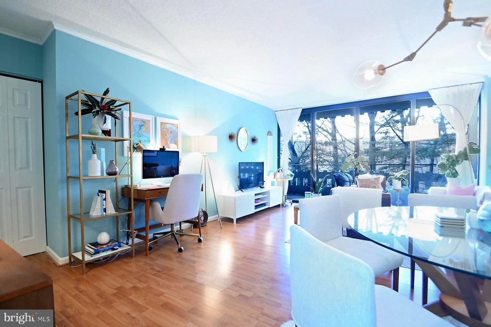 The Olympus unit 304, Alexandria, VA 22304 - photo 1