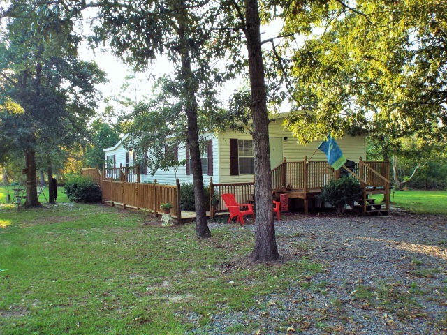 Main View