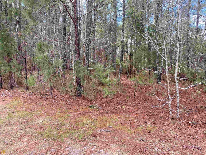 LOT 9 Sadie Ln, Lincolnton, GA 30817 - photo 1