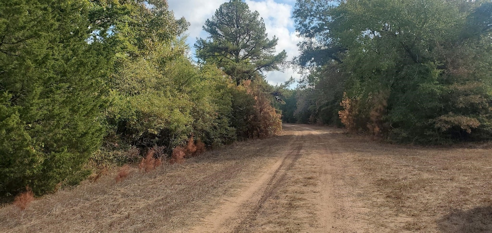 tbd Jackrabbit Dr, Hempstead, TX 77445 - photo 1