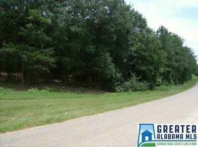 0 County Road 329 unit 733369, Wedowee, AL 36278 - photo 1