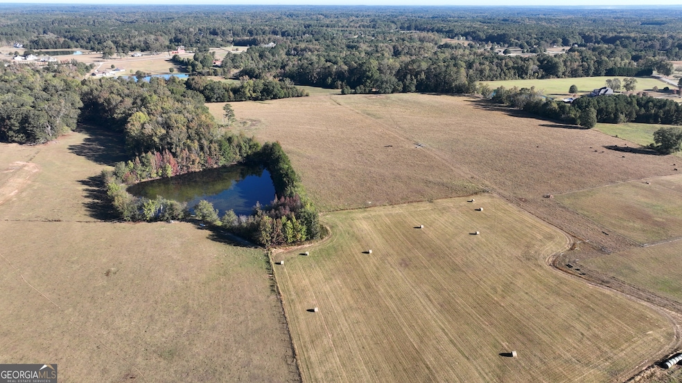 LOT 5 Mask Road - Hanner's Farm N, Brooks, GA 30205 - photo 1
