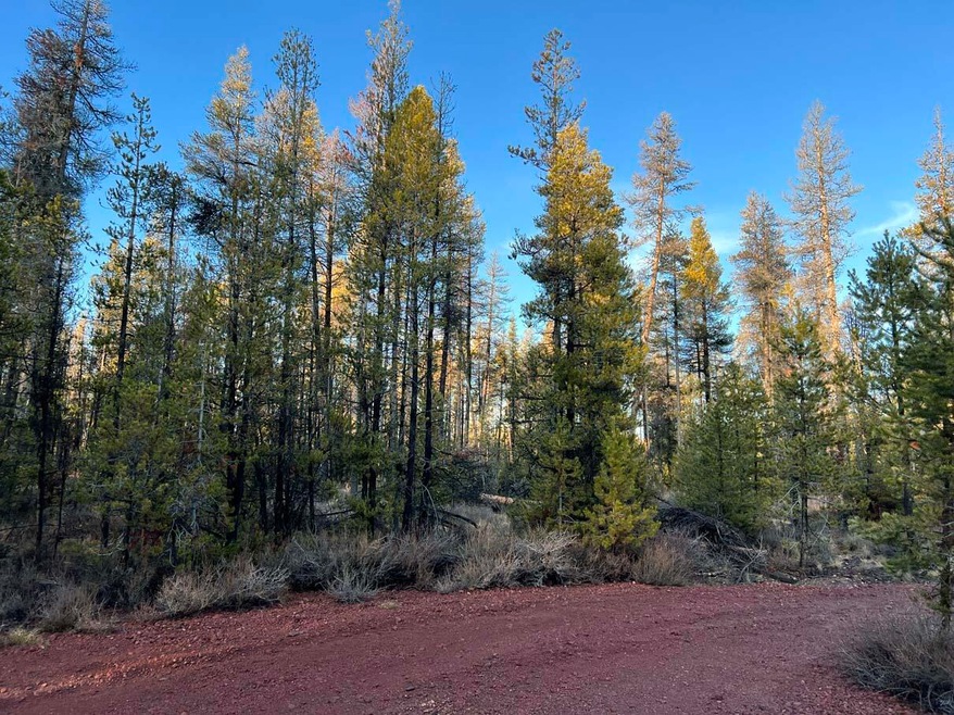 1.06 Acres, Mt. Scott Meadow
