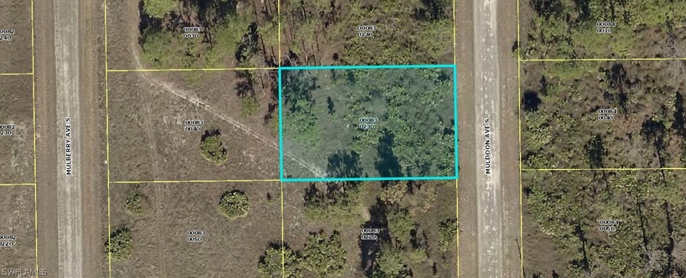 640 Muldoon Ave S, Lehigh Acres, FL 33974 - photo 1