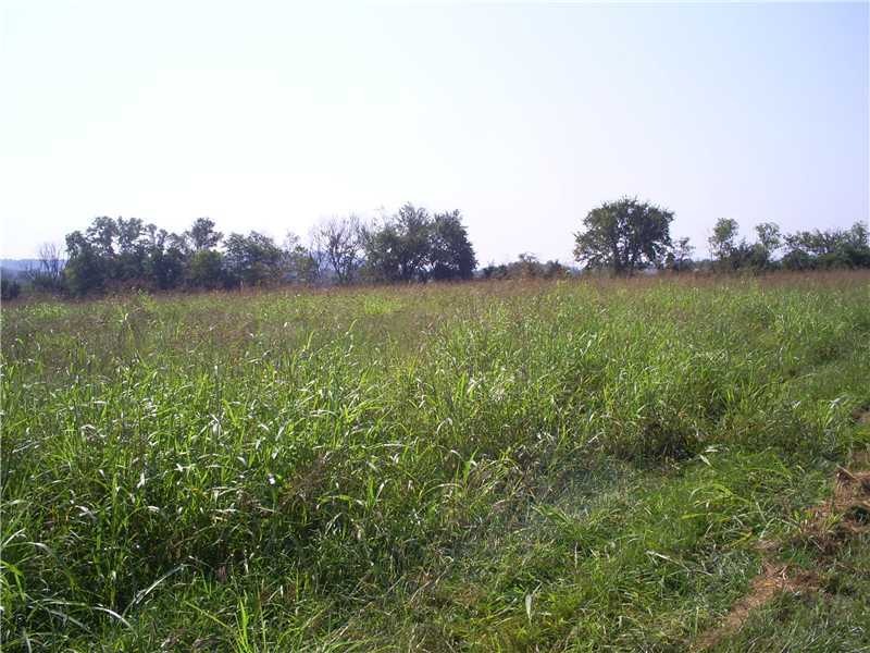 818 N Center St, Elkins, AR 72727 - photo 1