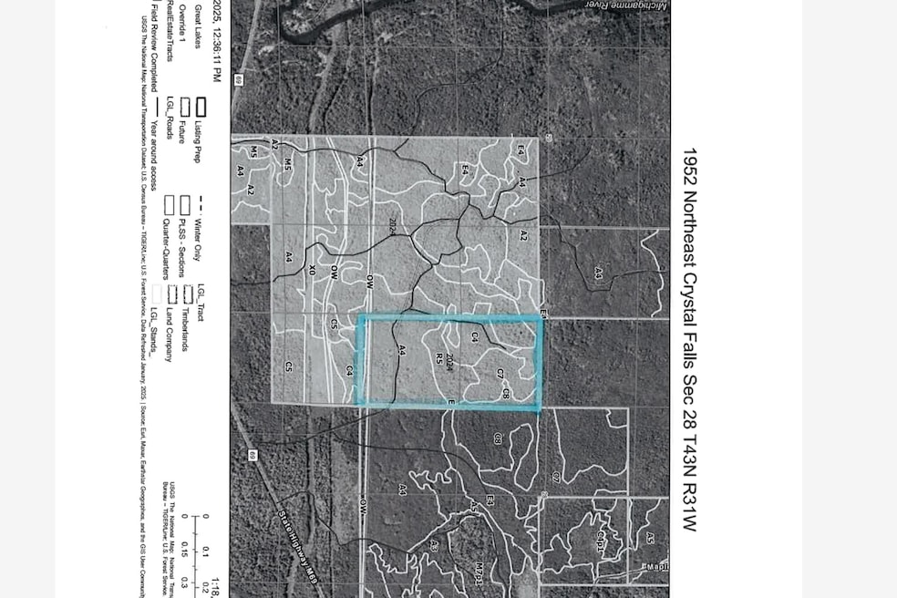 M69 Road, Crystal Falls, MI 49920 - photo 1