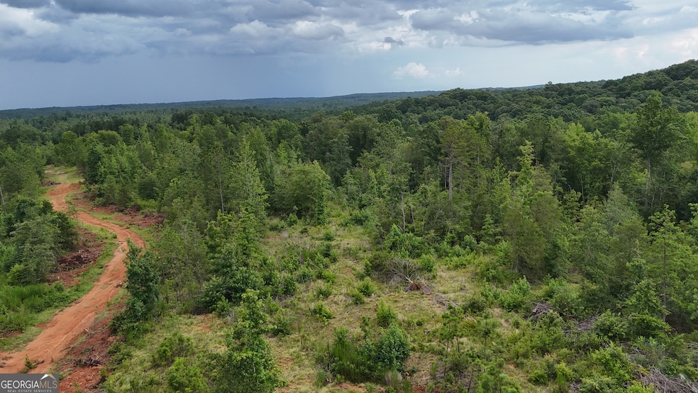 14 Emmaus Dr, Elberton, GA 30635 - photo 1