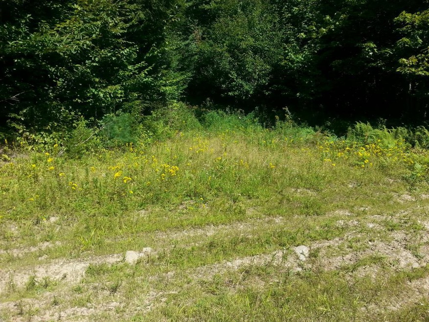 0 Old Rindge Rd unit 4512289, Fitzwilliam, NH 03447 - photo 1