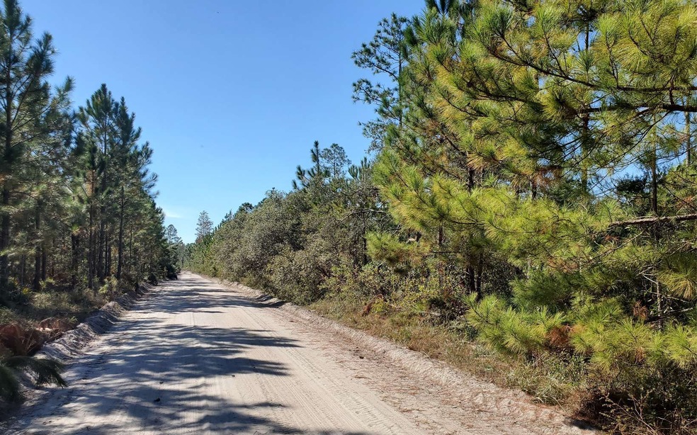 0 Brown Rd unit 123984, Lee, FL 32059 - photo 1