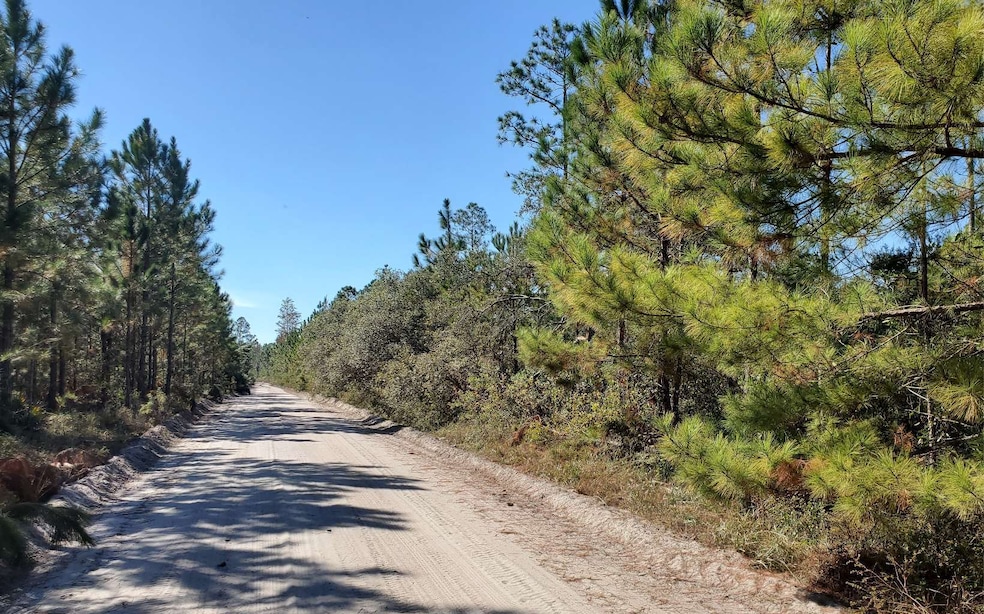 0 SW Prine Rd unit 123984, Lee, FL 32059 - photo 1