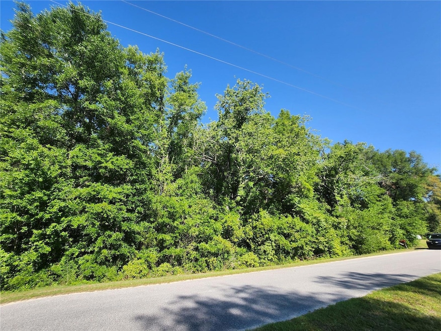 TBD SW Yazoo Ct, Rainbow Lakes Estates, FL 34431 - photo 1