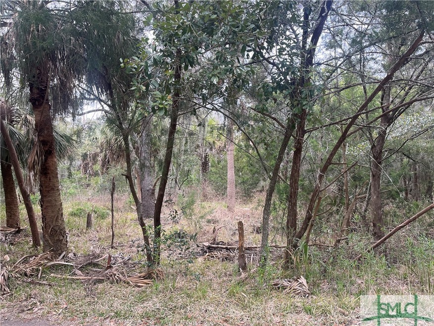 930 Mims St, Savannah, GA 31410 - photo 1