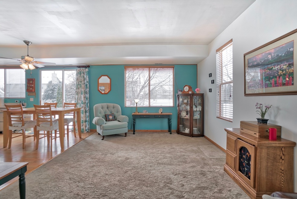 117 Eisenhower Dr unit 1, Oswego, IL 60543 - photo 1