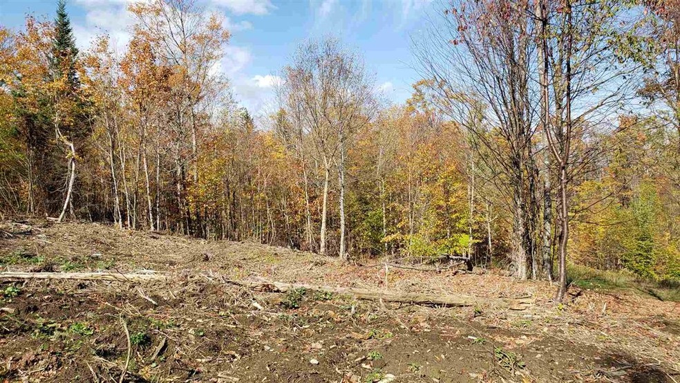 000 Derricks Dr unit 6, Wheelock, VT 05851 - photo 1