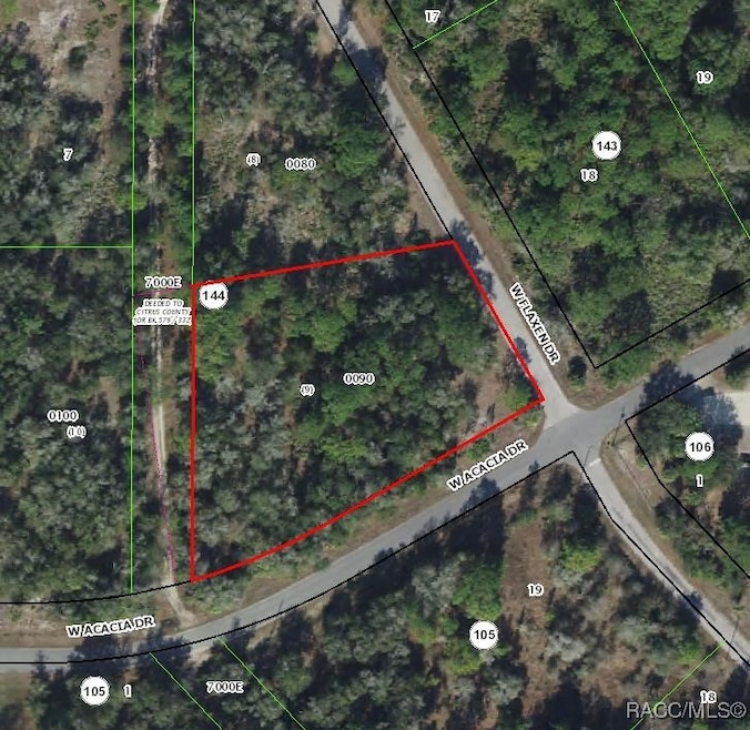 11976 W Flaxen Dr, Crystal River, FL 34428 - photo 1