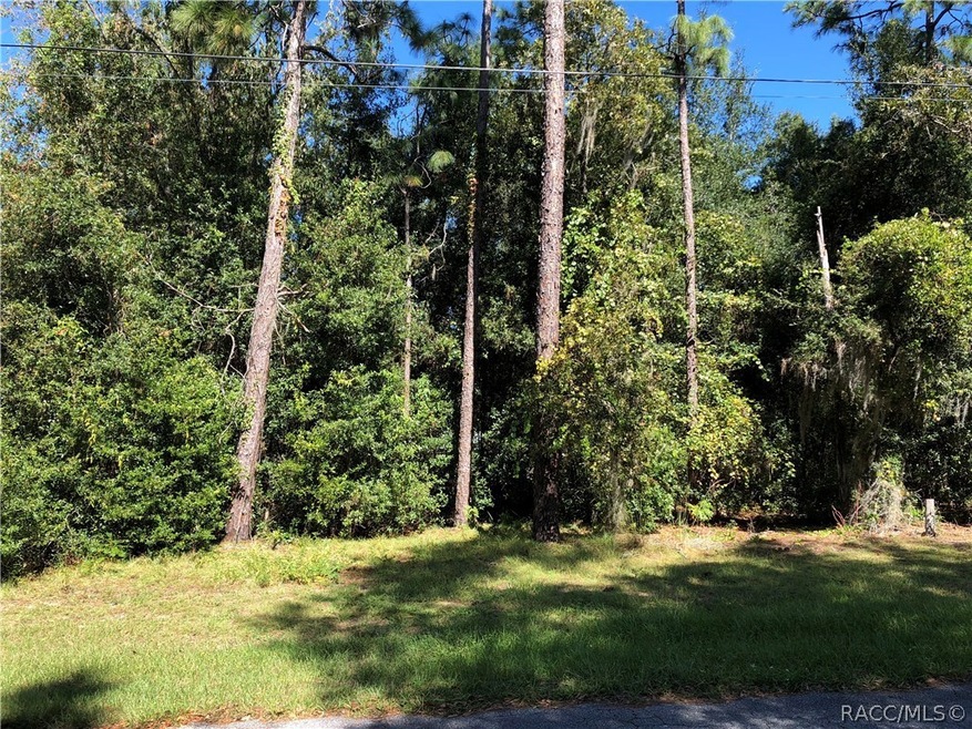 6667 E. Haynes Lane.  Approximately the middle of