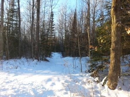 26.6 acres Old Highway 51 unit `and Nelson Avenue, Merrill, WI 54452 - photo 1