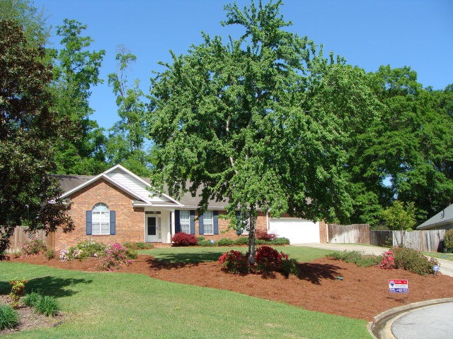 Main View