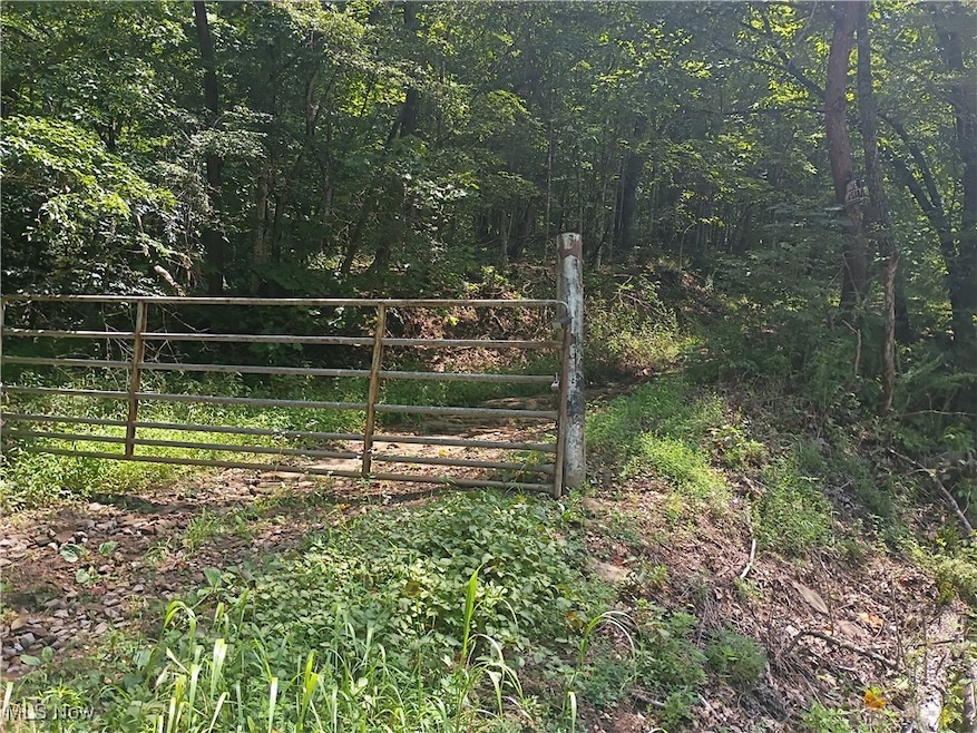 0 R 9 unit 5139092, Arnoldsburg, WV 25234 - photo 1