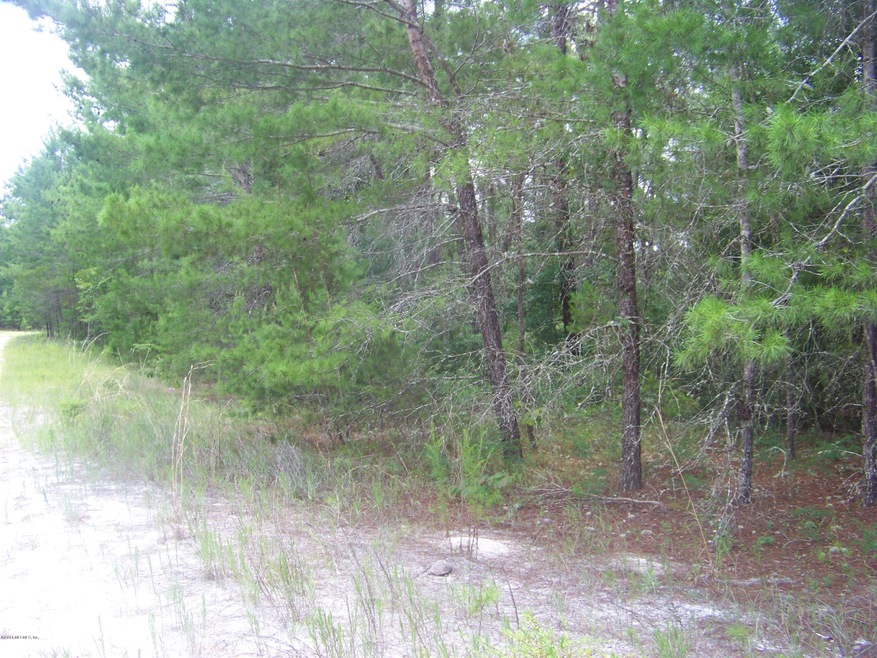 Front of vacant land