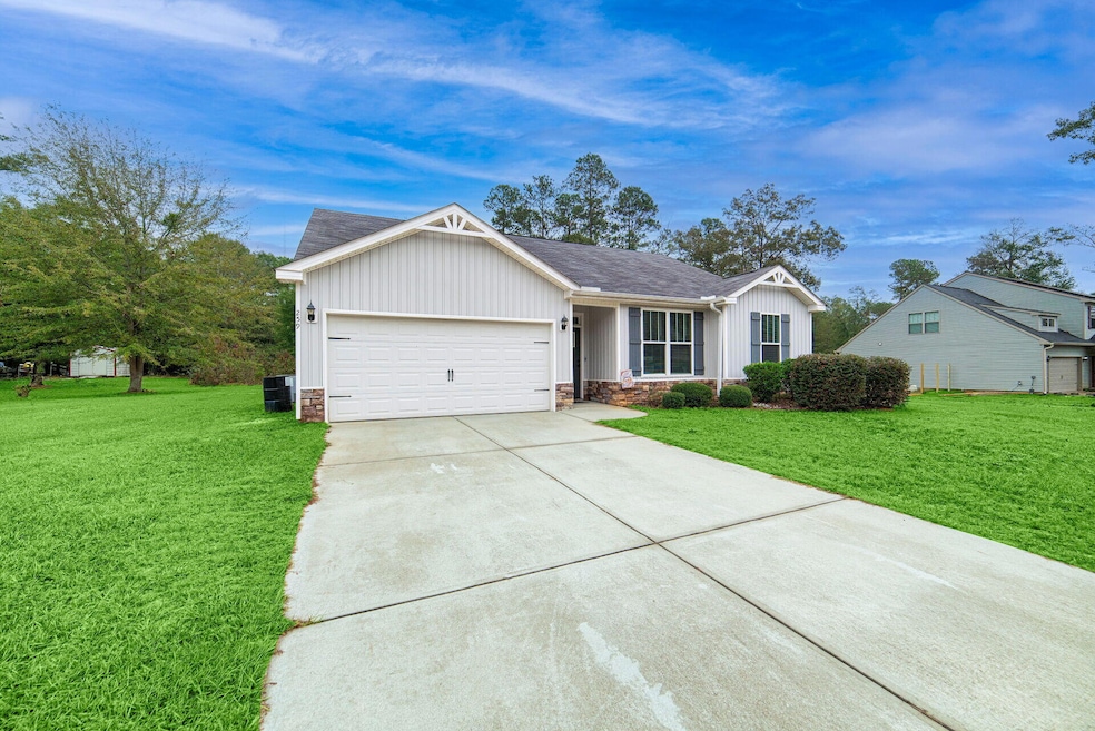 259 Lacebark