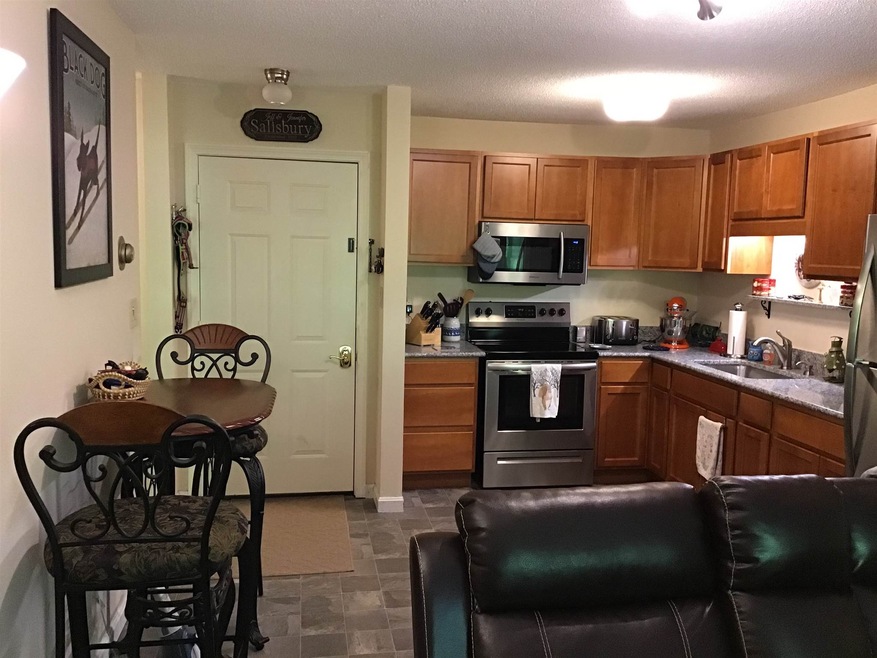 264 Main St unit 20 F, Lincoln, NH 03251 - photo 1