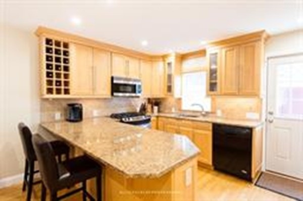 121 Tudor St unit TH, Boston, MA 02127 - photo 1