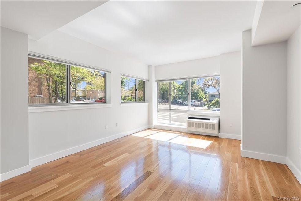 Latitude Riverdale unit 1C, Bronx, NY 10463 - photo 1