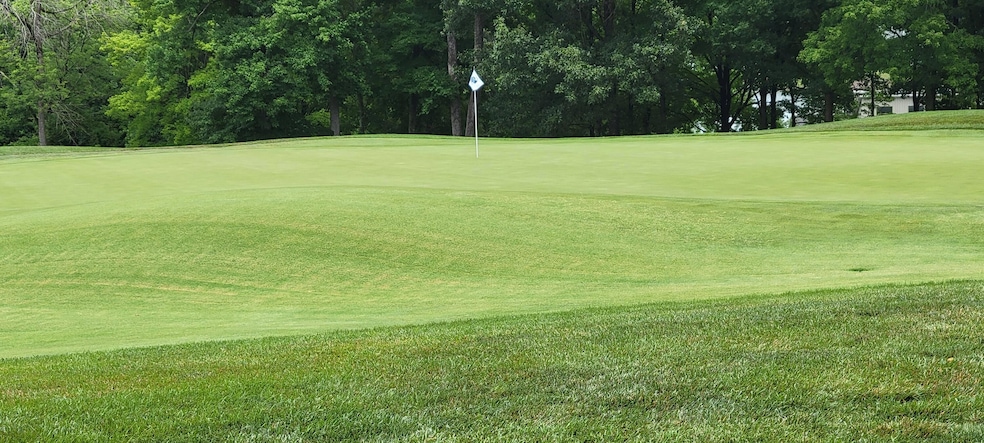 View of #16 Green