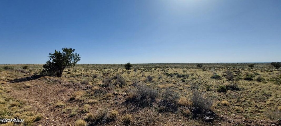 6232 S Prairie Grass Ln unit 294, Williams, AZ 86046 - photo 1