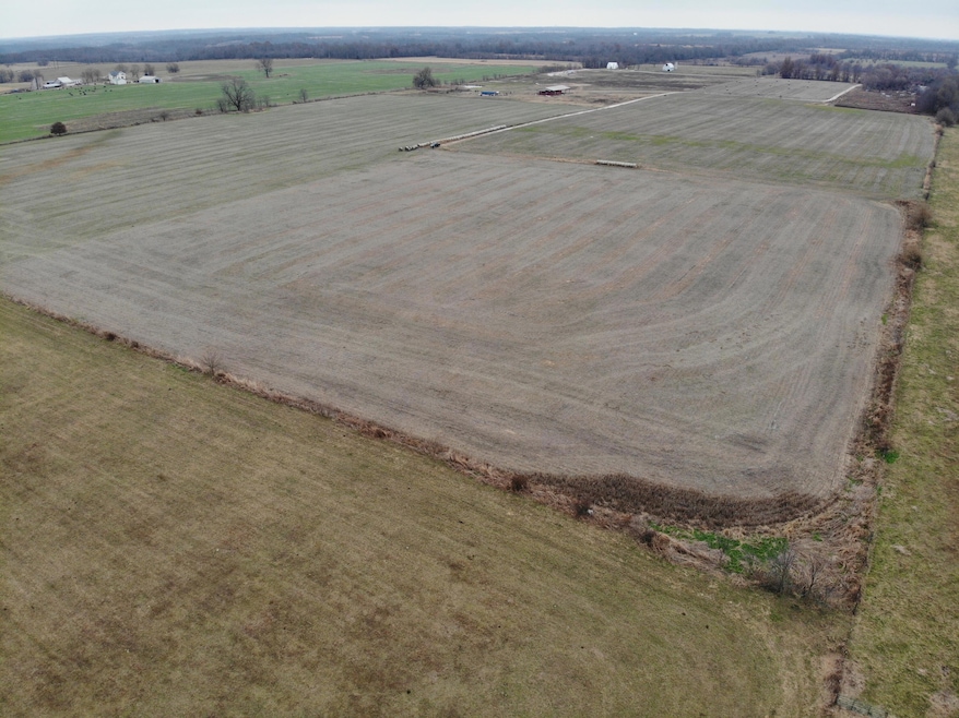11465 W Farm Rd 76 Tract 5, Ash Grove, MO 65604 - photo 1