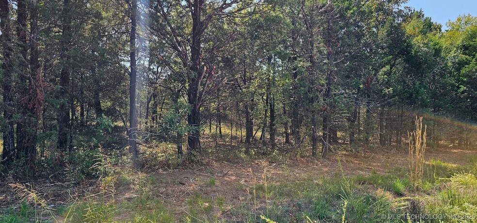 00000 E 994 Rd, Redbird Smith, OK 74435 - photo 1