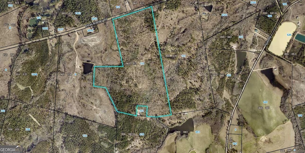 151 Brantley Midas Rd, Kite, GA 31049 - photo 1