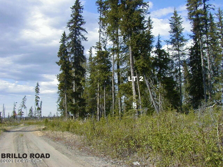 Lt 2 Brillo Rd, Anchor Point, AK 99556 - photo 1