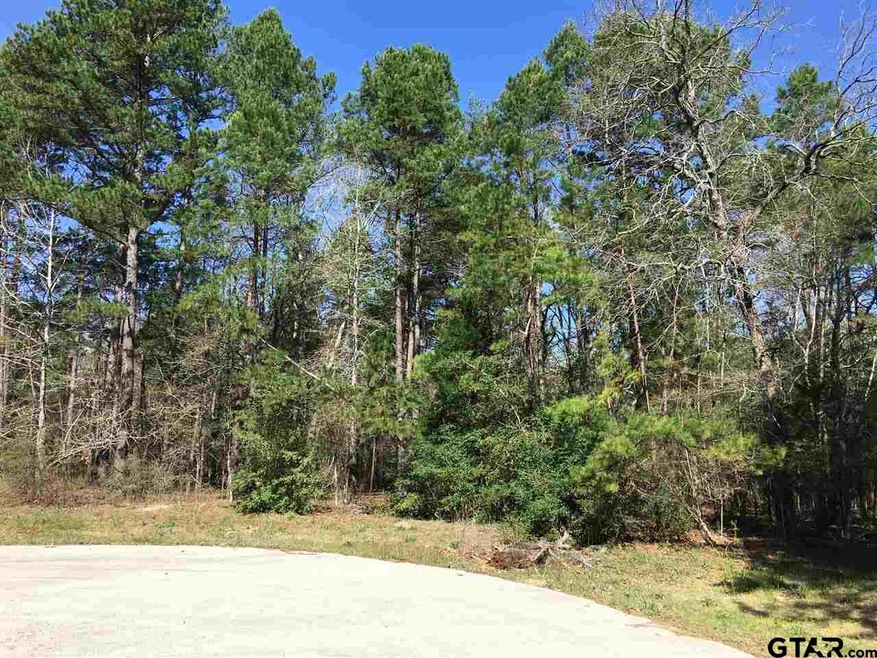 14861 Lake Meadow Ct, Tyler, TX 75707 - photo 1