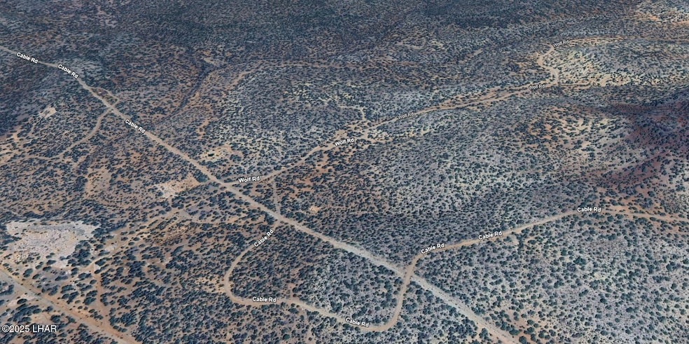Screenshot_7-5-2025_131442_earth.google.