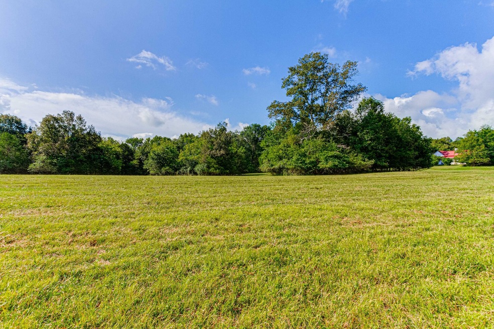 1418 Birch St, Shelbyville, TN 37160 - photo 1