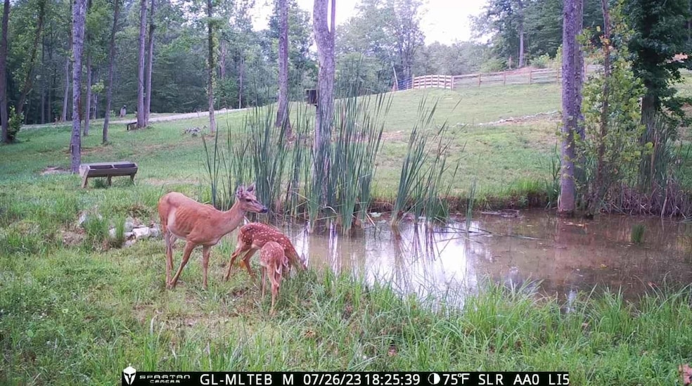 295 Falls Creek Way, Somerset, KY 42503 - photo 1