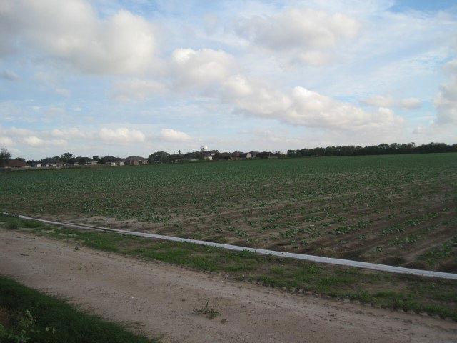 000 W 6th St, Weslaco, TX 78596 - photo 1