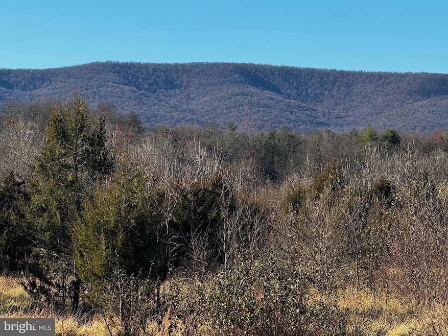 20 Hallows Way, Gerrardstown, WV 25420 - photo 1