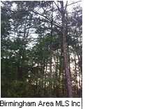 Paved Road frontage of lot. Many options to build,