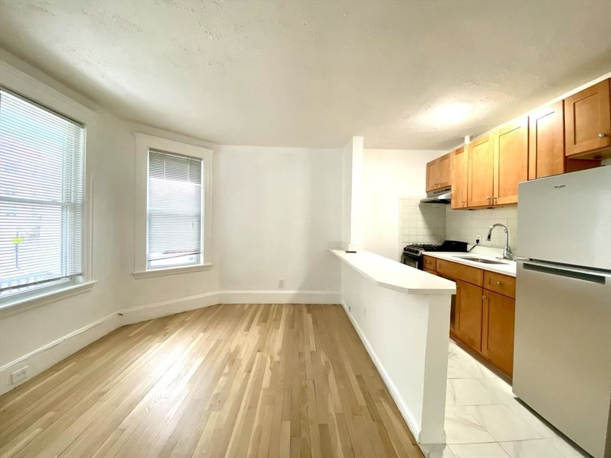 2 Dickson St unit 1, Somerville, MA 02144 - photo 1