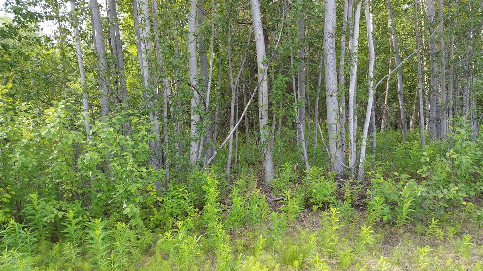 20160610_094235