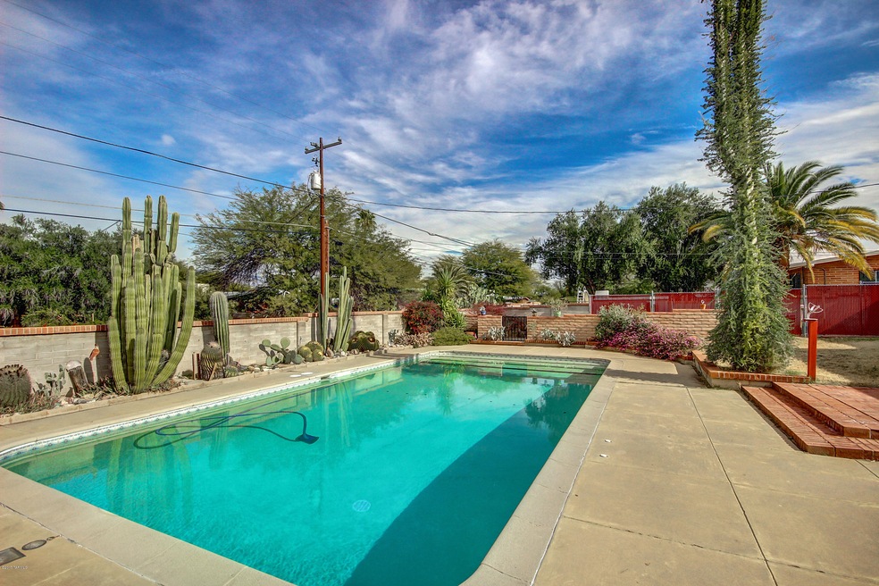 Resort-Style Backyard